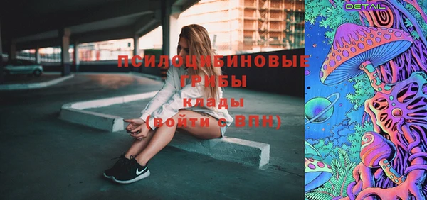 дурь Верея
