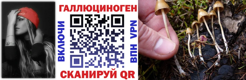Купить  Нововоронеж  Галлюциногенные грибы мухоморы 